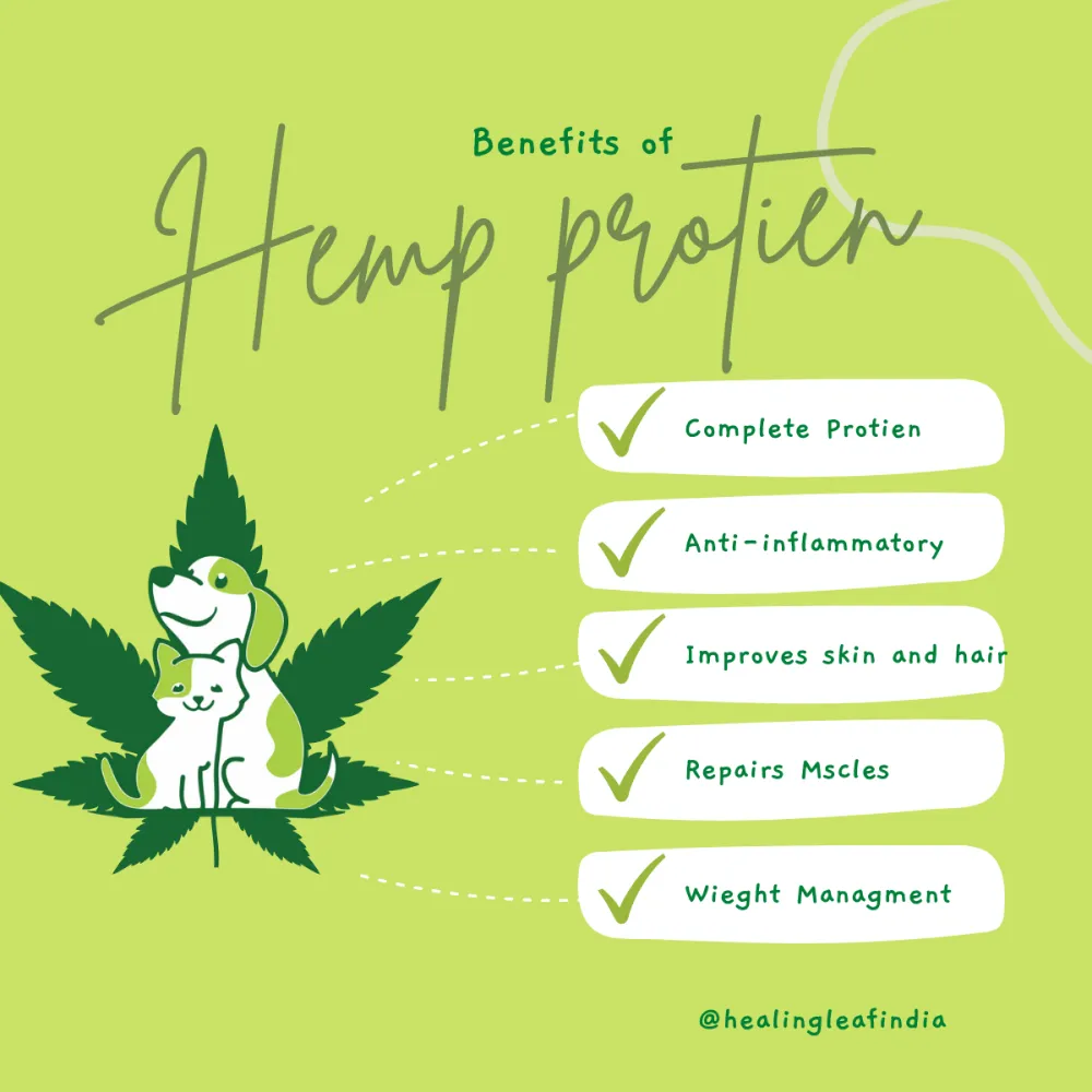 Healing Leaf Hemp Protein Powder and Pedigree Chicken and Liver Chunks in Gravy Adult Wet Food Combo for Dogs