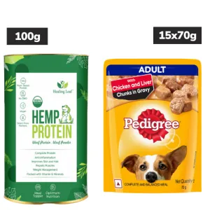 Healing Leaf Hemp Protein Powder and Pedigree Chicken and Liver Chunks in Gravy Adult Wet Food Combo for Dogs