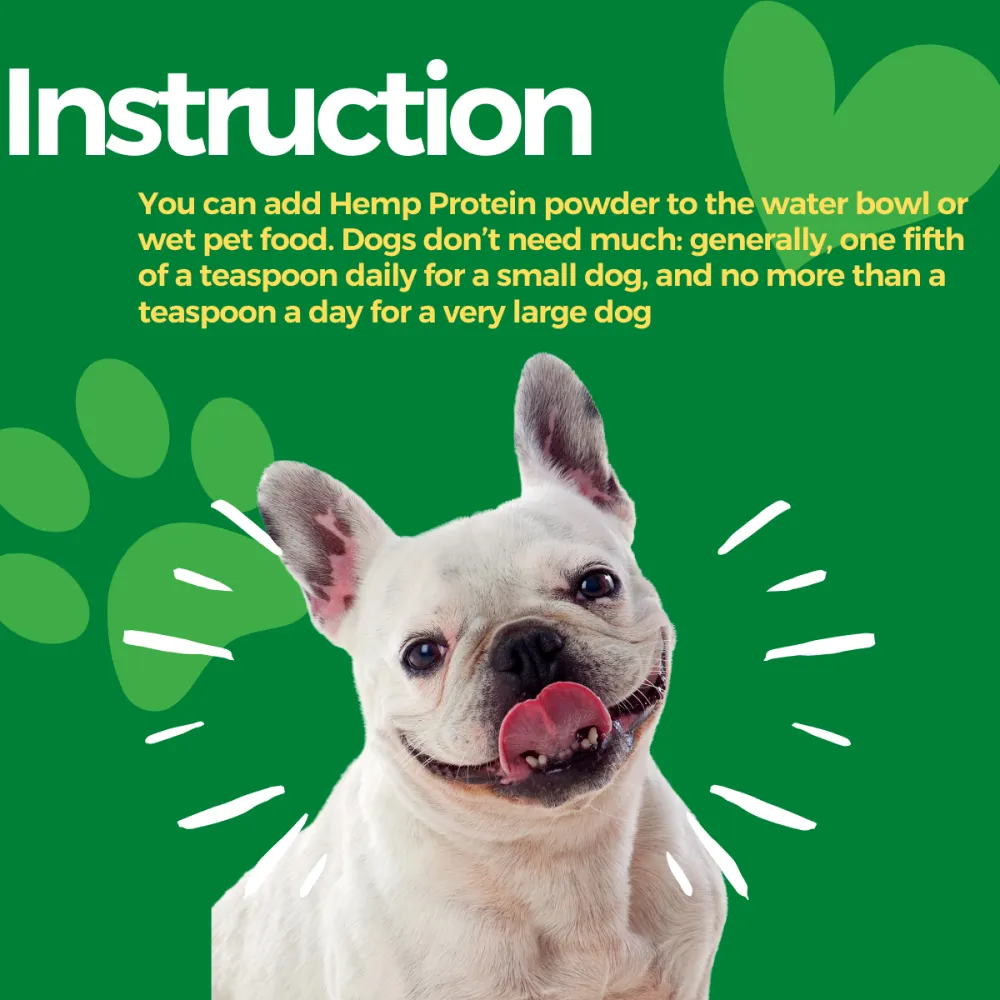 Healing Leaf Hemp Protein Powder and Pedigree Chicken and Liver Chunks in Gravy Adult Wet Food Combo for Dogs