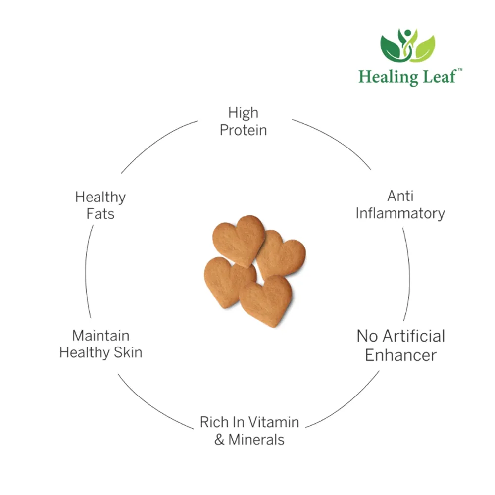 Healing Leaf Hemp Pumpkin Dog Treats