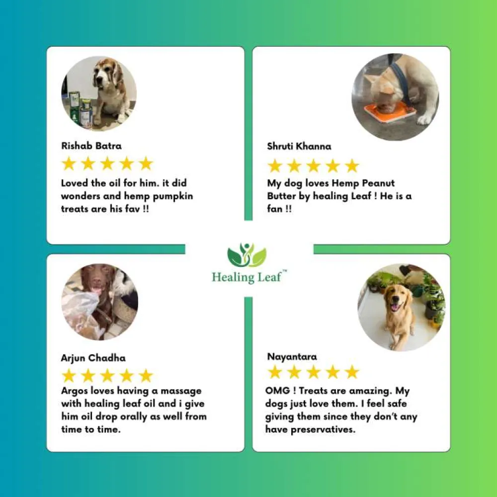 Healing Leaf Hemp Pumpkin Treats and Skatrs Treat Hider Toy Combo for Dogs