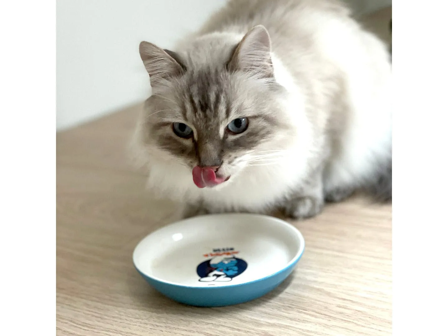 Hefty Smurf low feeding bowl 180ml - 14,2x14,2x2,5cm white/blue Pets Qatar