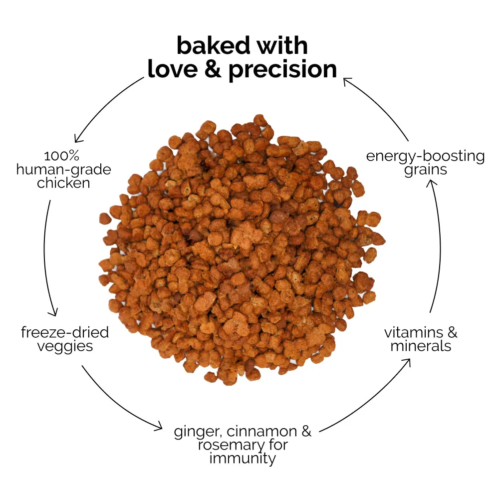 Henlo Chicken and Egg Baked Dry Food for Adult Dogs & Puppies and Chicken Jerky Treats for Dogs Combo