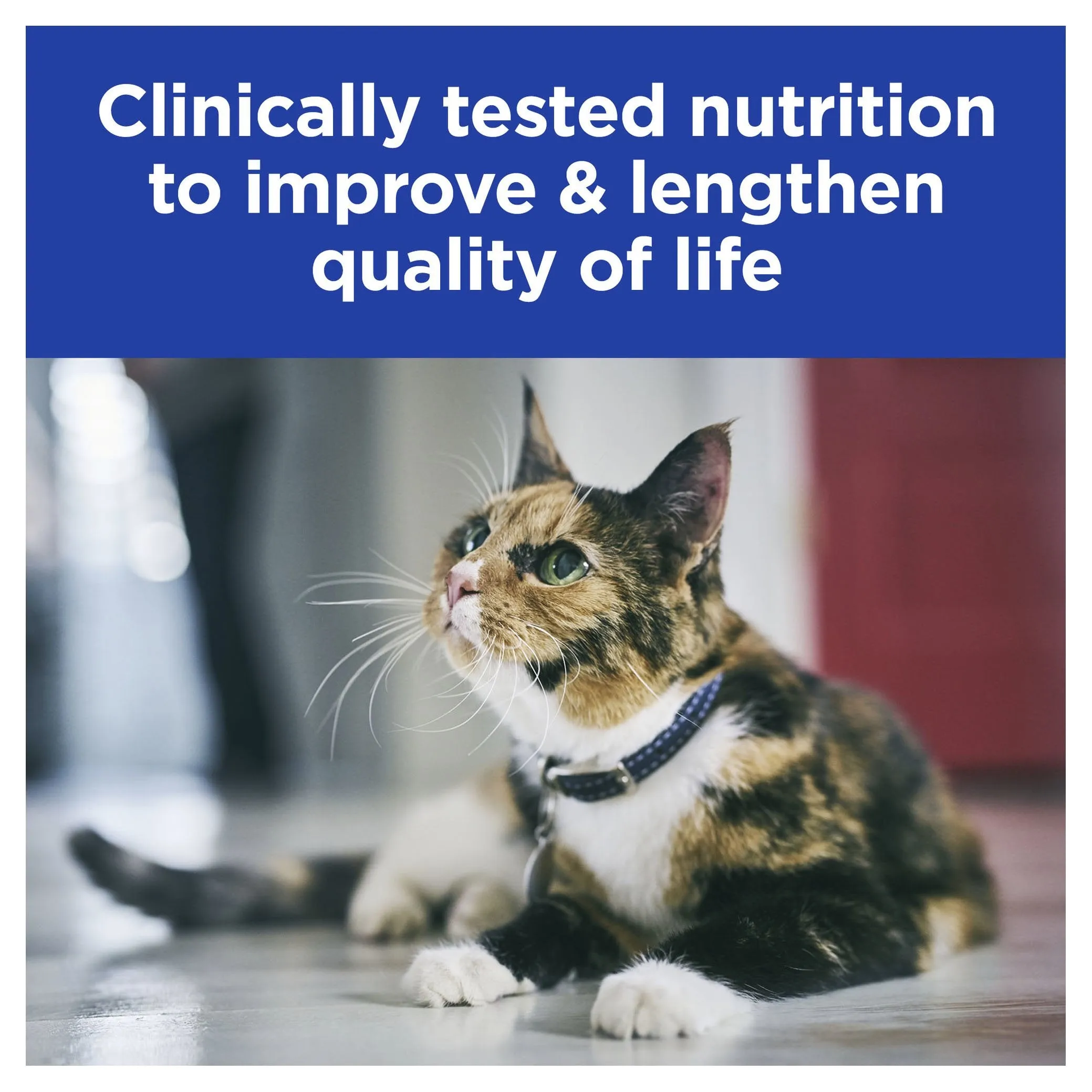 Hills Prescription Diet Cat k/d Kidney Care Salmon Wet Food Pouch 85g