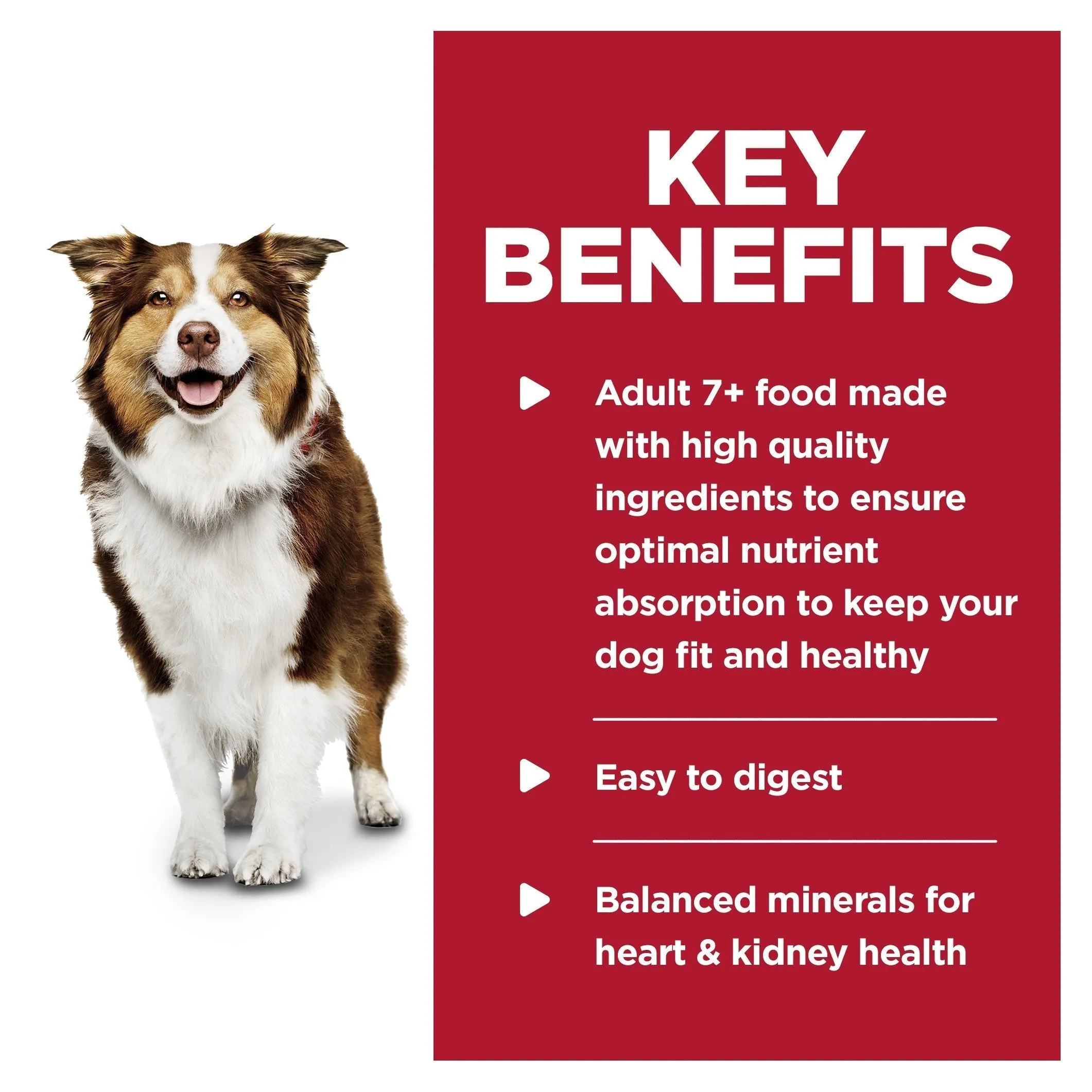 Hills Science Diet Adult 7  Chicken and Barley Entree Canned Dog Food 370g