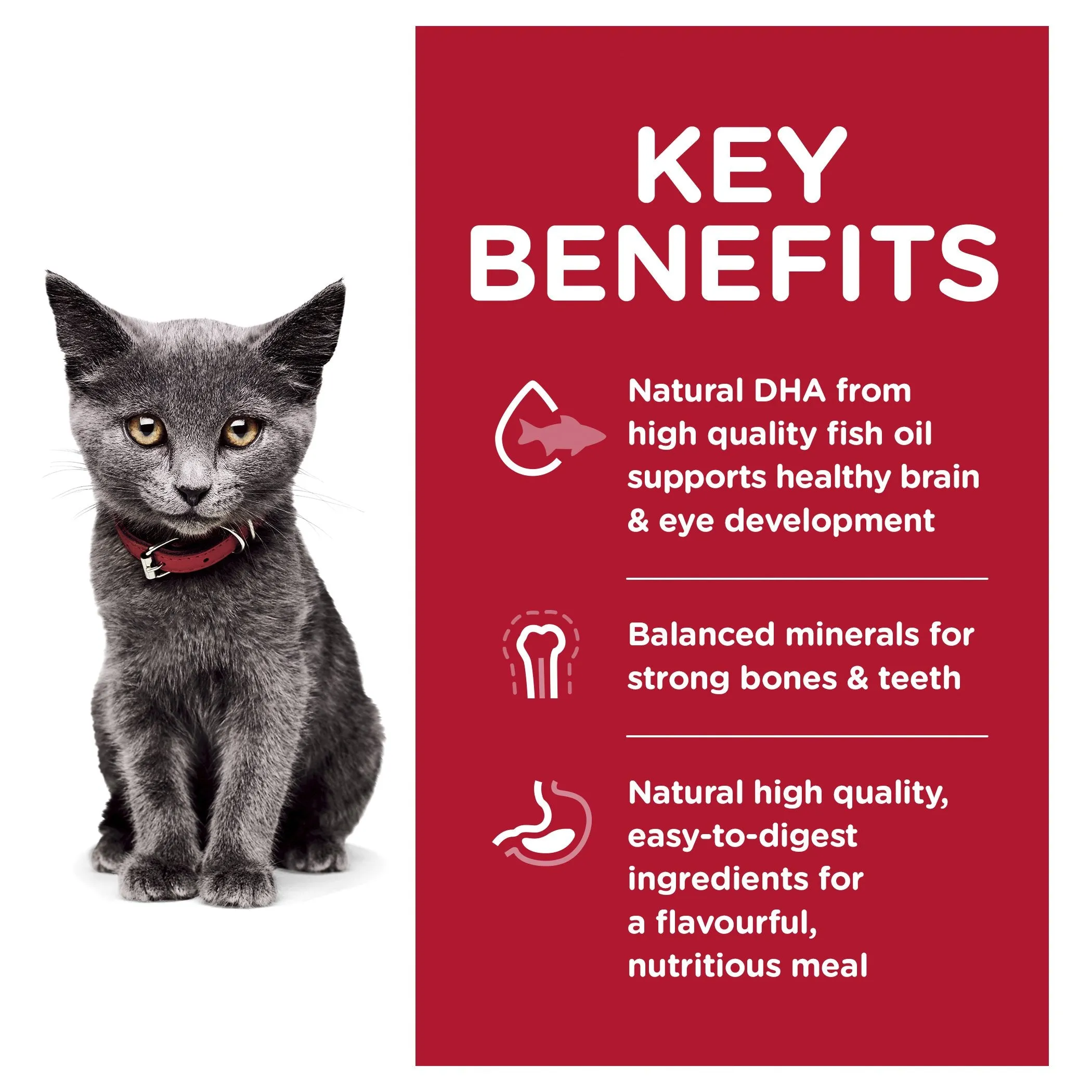 Hills Science Diet Indoor Kitten Dry Cat Food 3.17kg ( _ )