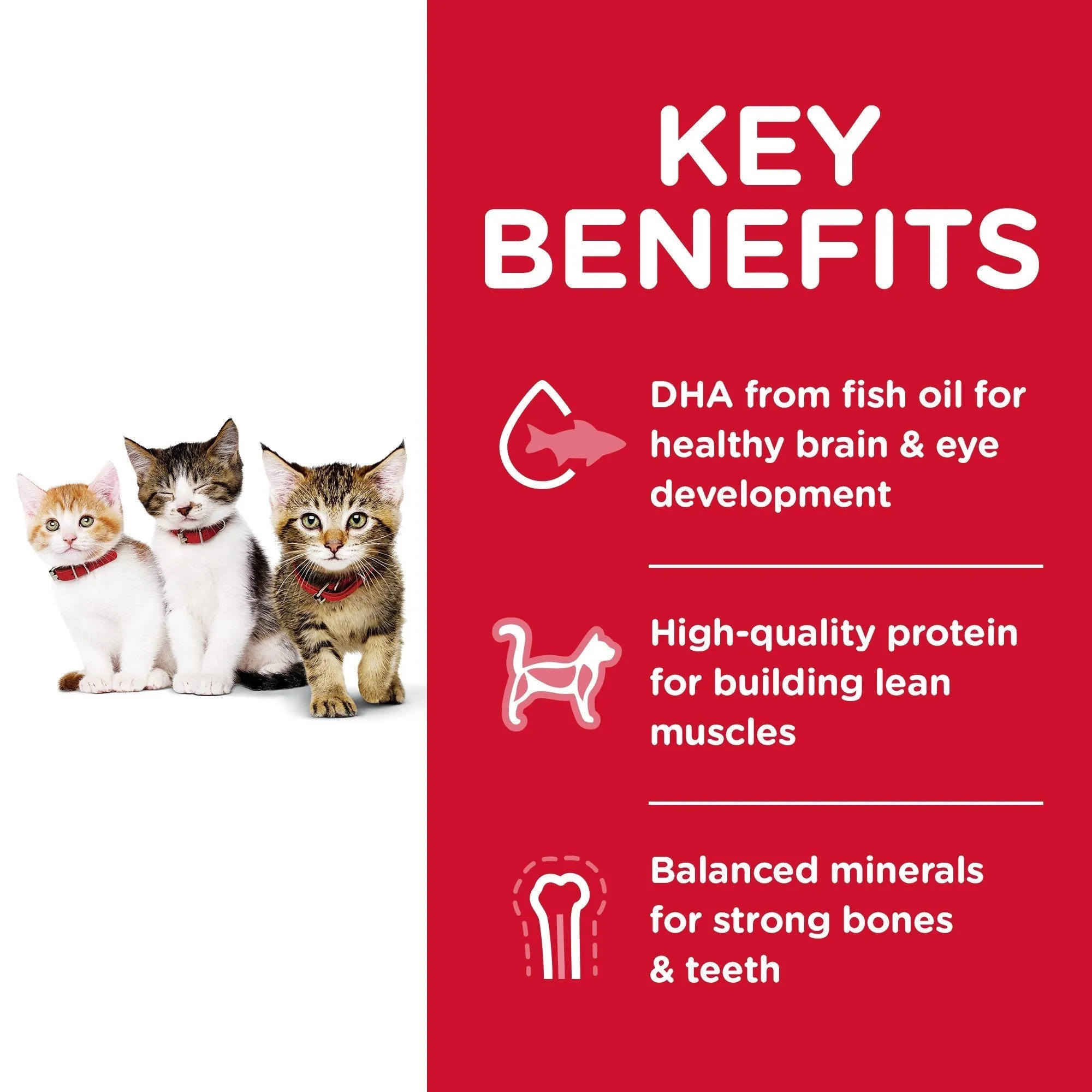 Hills Science Diet Kitten Dry Cat Food 4kg ( _ )