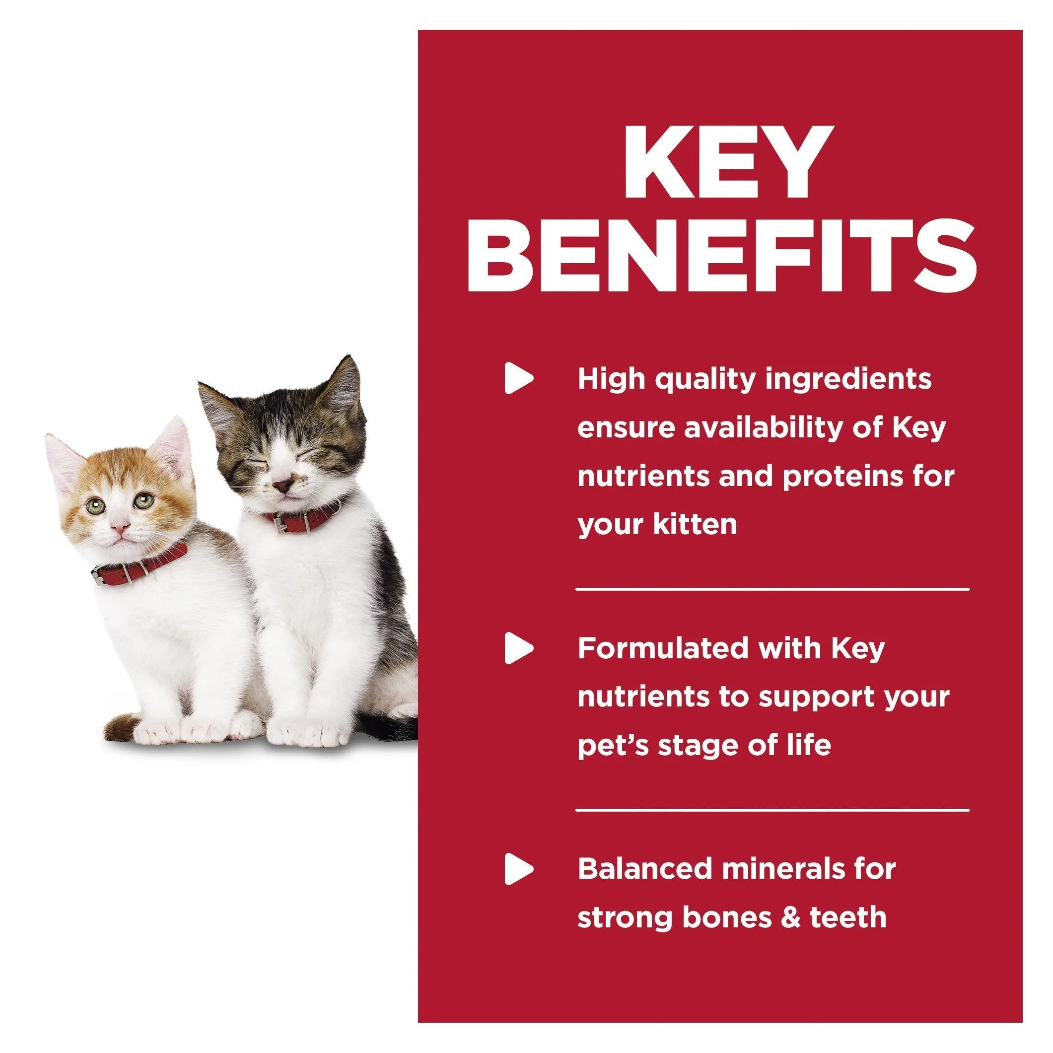 Hills Science Diet Kitten Tender Dinners Chicken Canned Cat Food 156g x 24 ( _ )