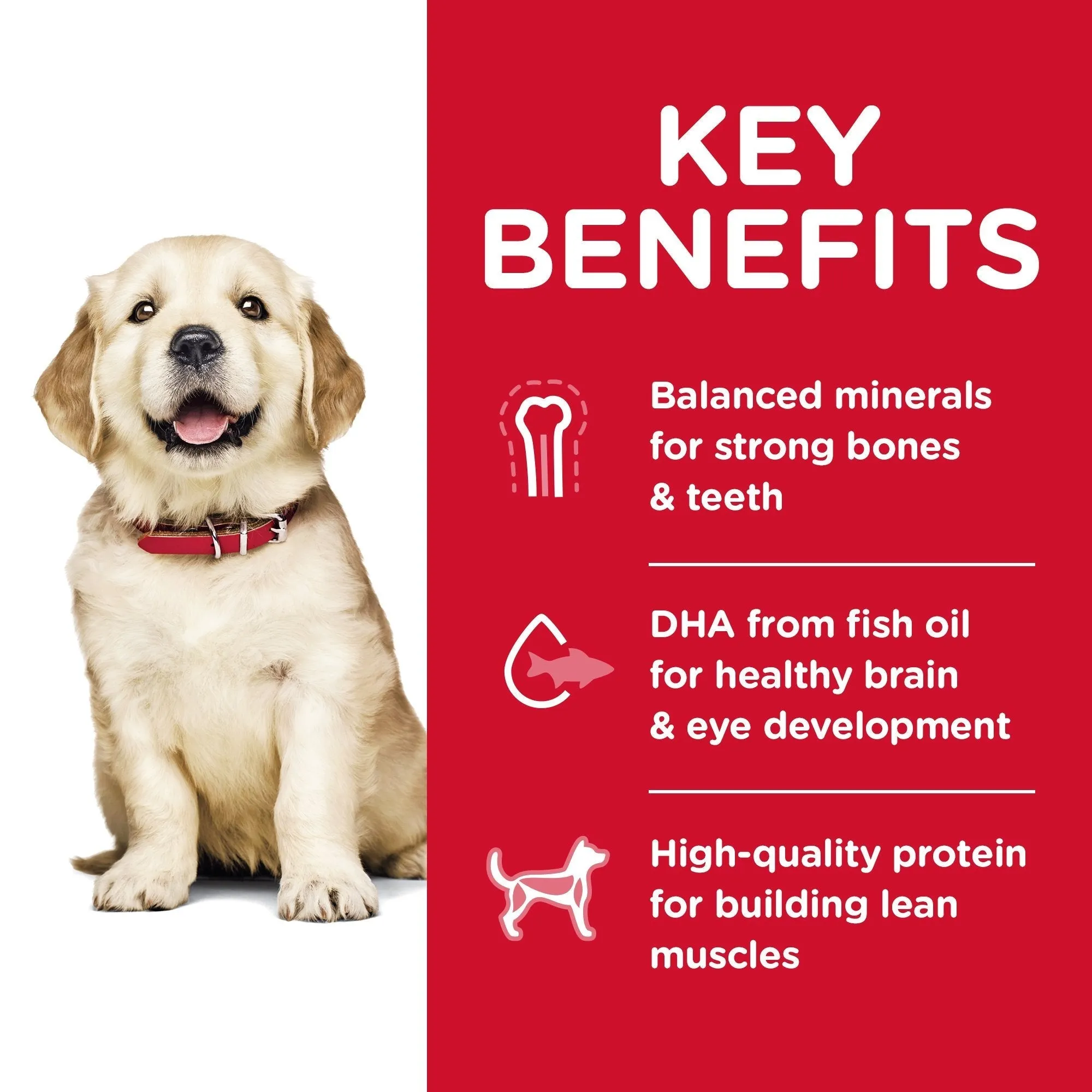 Hills Science Diet Puppy Large Breed Dry Dog Food 3kg ( _ )