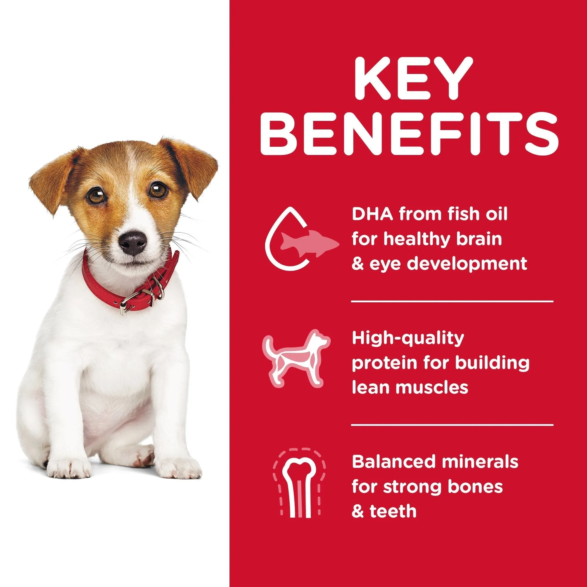 Hills Science Diet Puppy Small Bites Dry Dog Food 2kg ( _ )