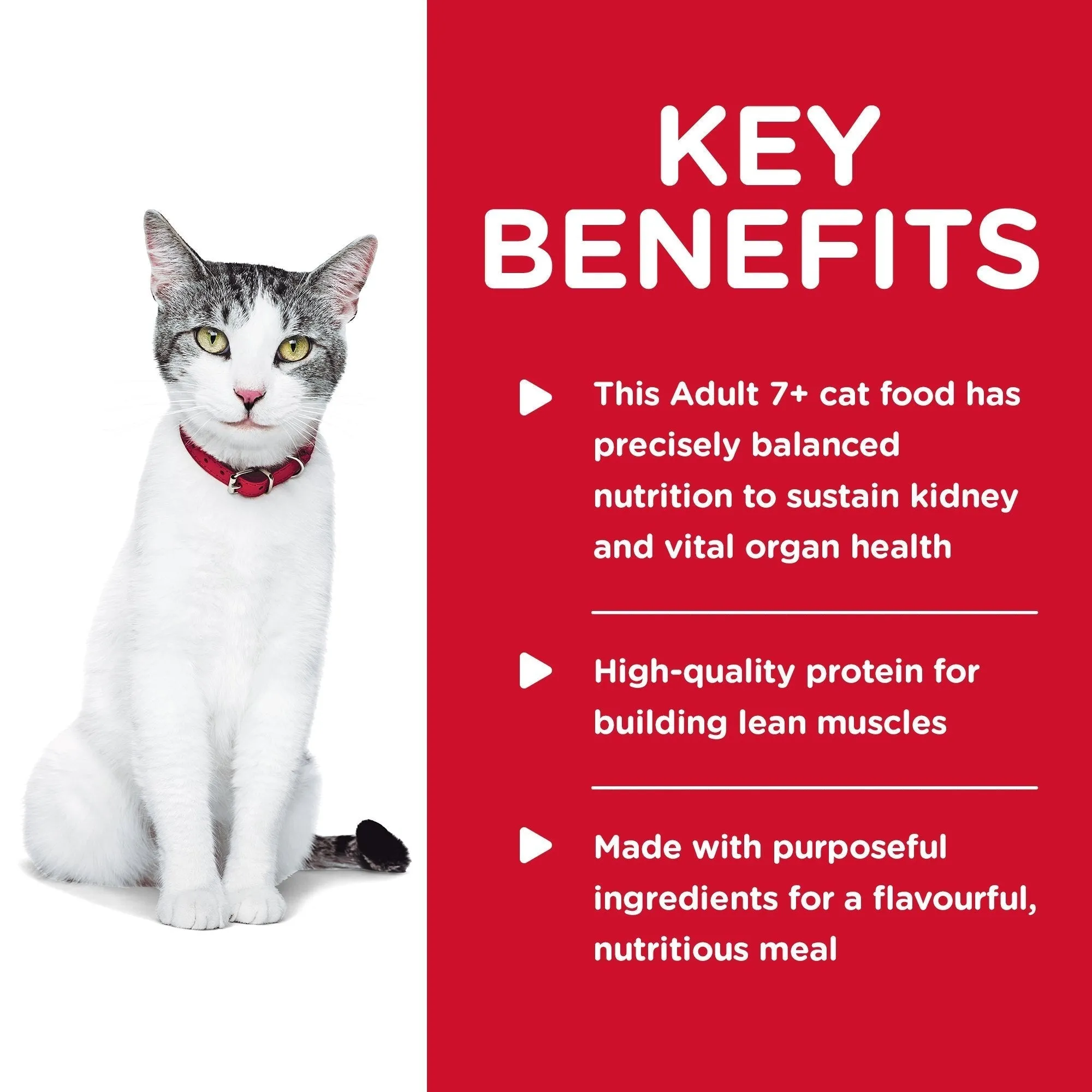 Hills Science Diet Senior Adult 11  Dry Cat Food 3.17kg