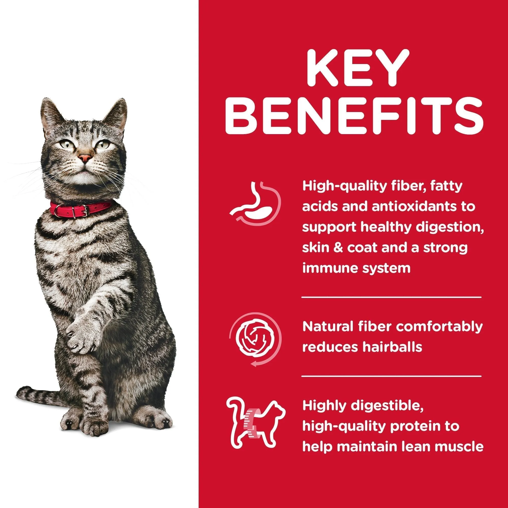 Hills Science Diet Urinary Hairball Control Adult Dry Cat Food 3.17kg