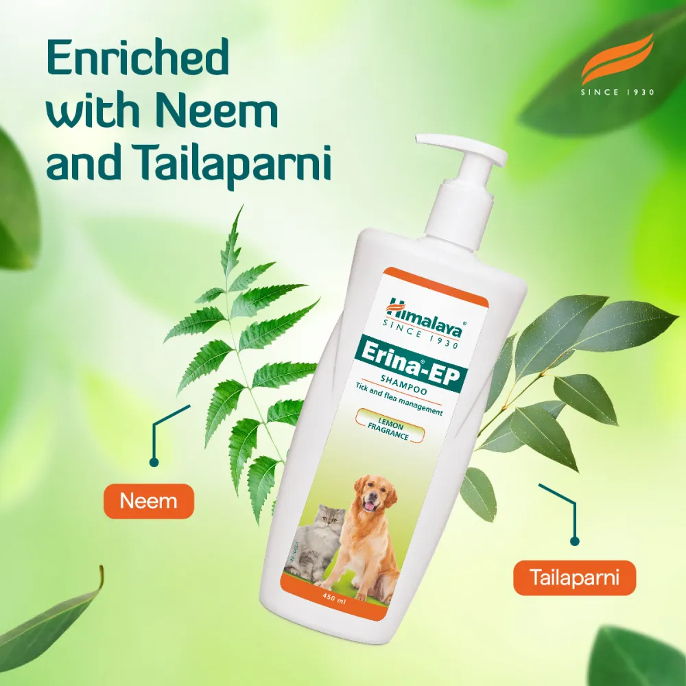 Himalaya Erina EP Tick & Flea Shampoo with Drools Absolute Calcium Supplement Tablets Dog Combo