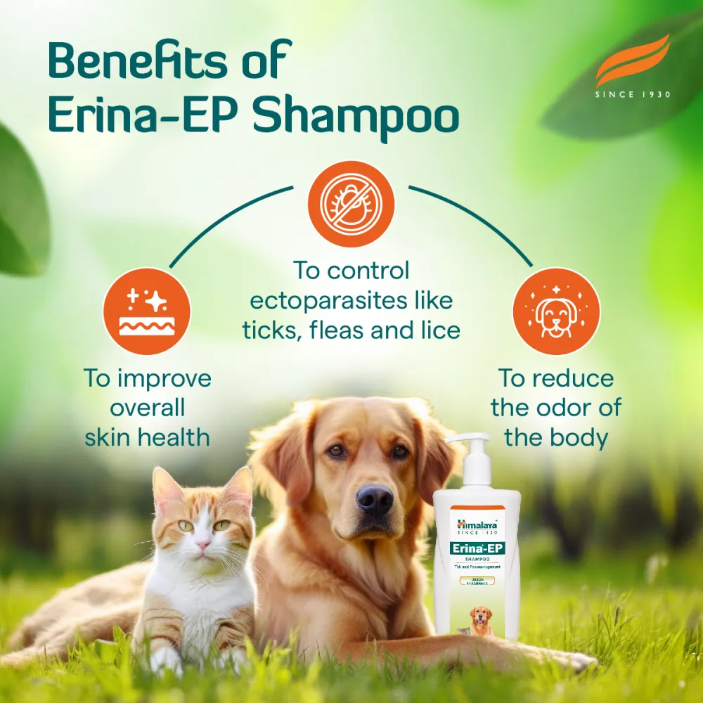 Himalaya Erina EP Tick & Flea Shampoo with Drools Absolute Calcium Supplement Tablets Dog Combo