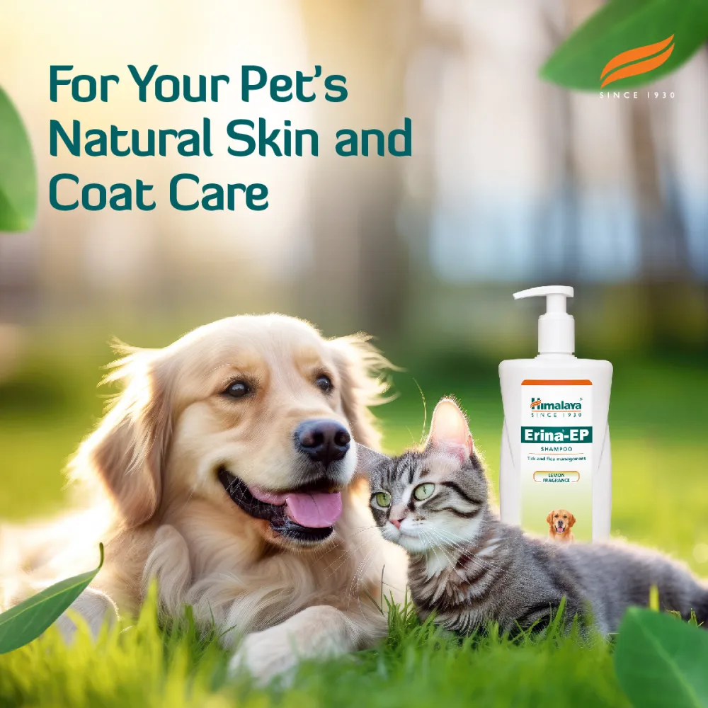 Himalaya Erina EP Tick & Flea Shampoo with Drools Absolute Calcium Supplement Tablets Dog Combo