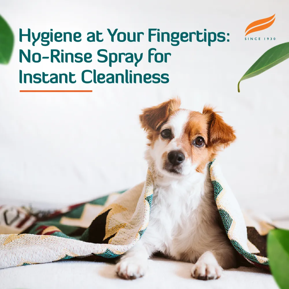Himalaya Fresh Coat No Rinse Spray & Furlicks Gut Health Supplement Dog & Cat Combo