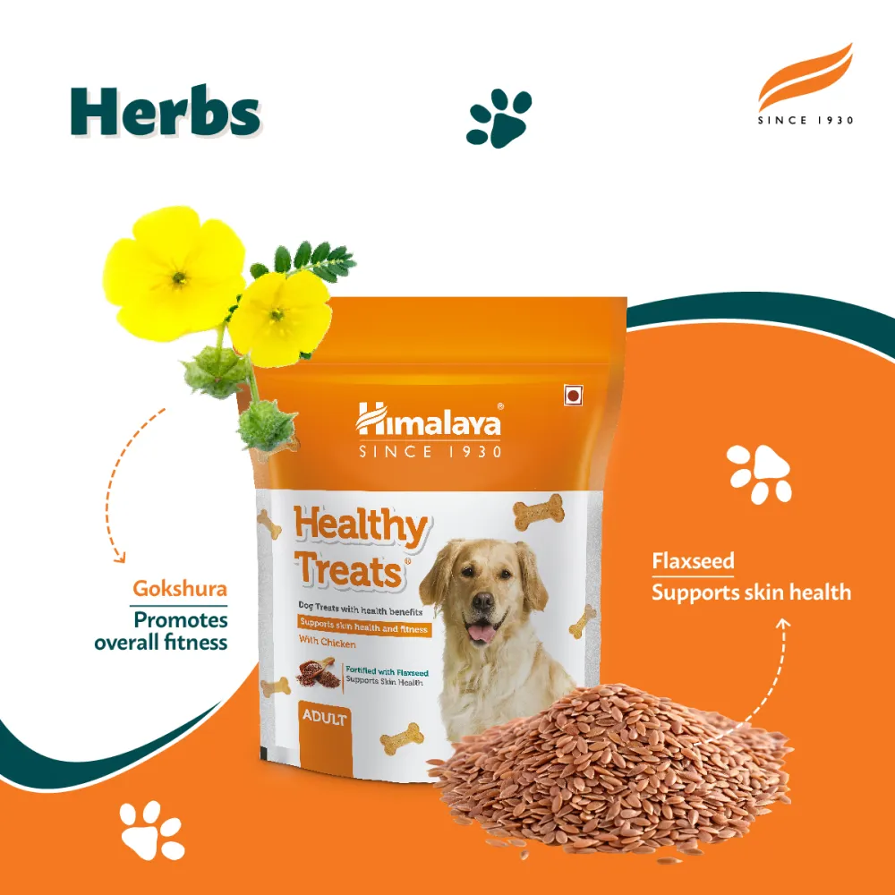 Himalaya Healthy Chicken and Henlo Chicken Pops Dog Treats Combo
