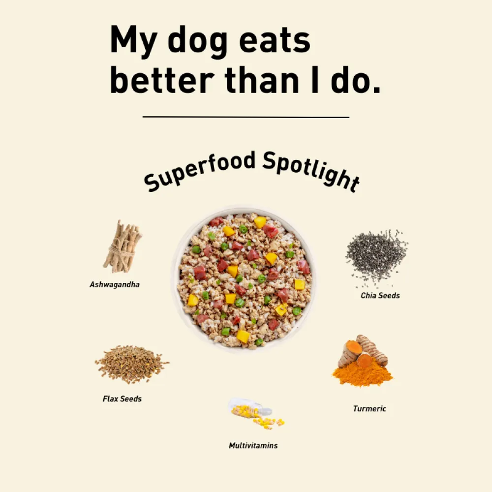 Homiee & Ginger Power Bowl Chicken & Barley Fresh Food for Dogs