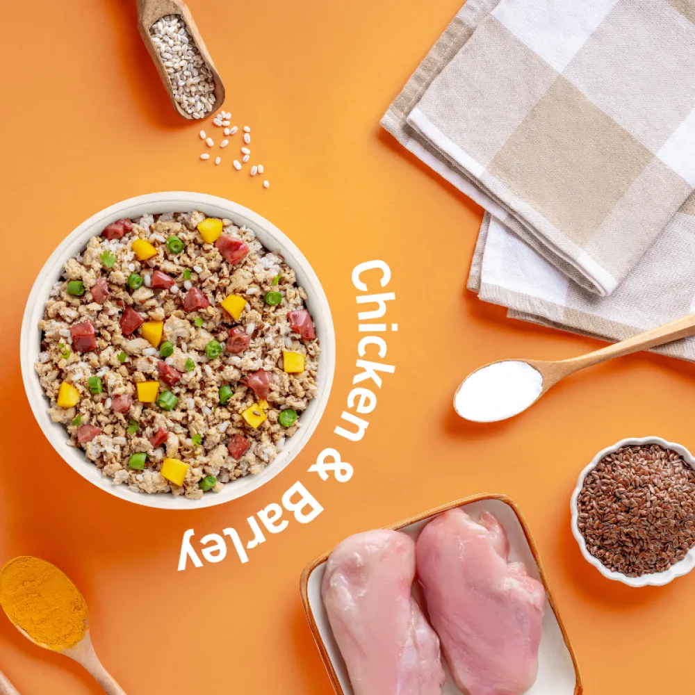 Homiee & Ginger Power Bowl Chicken & Barley Fresh Food for Dogs