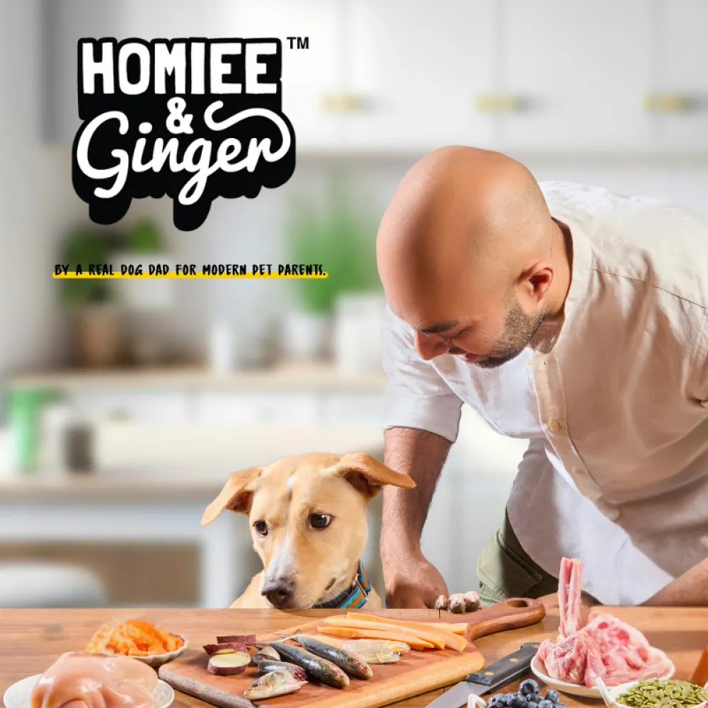 Homiee & Ginger Power Bowl Chicken & Barley Fresh Food for Dogs