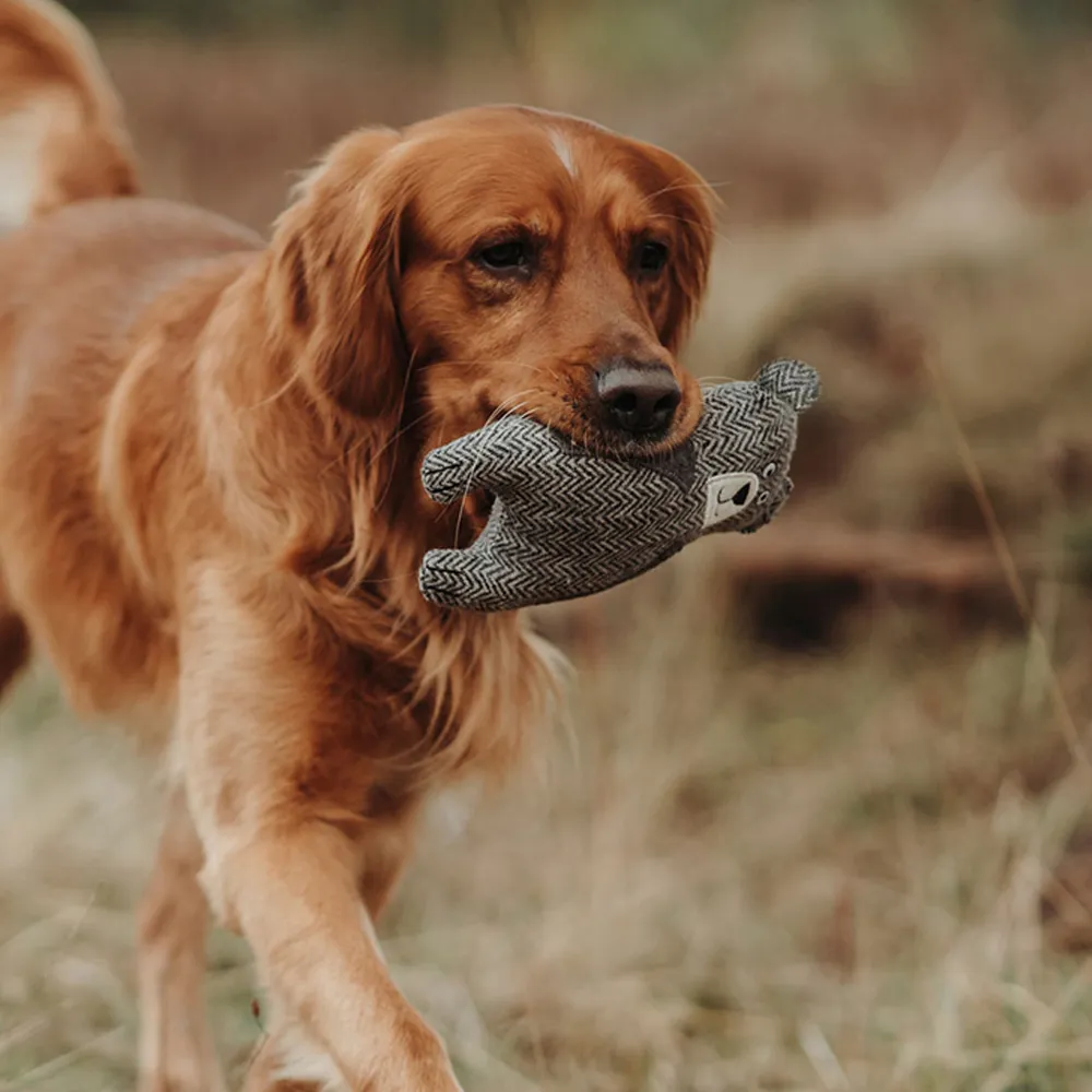 Hunter Billund Bear Toy for Dogs
