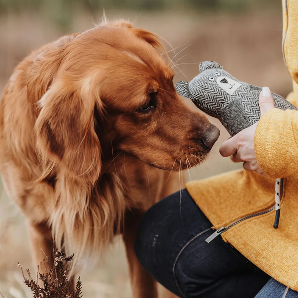 Hunter Billund Bear Toy for Dogs