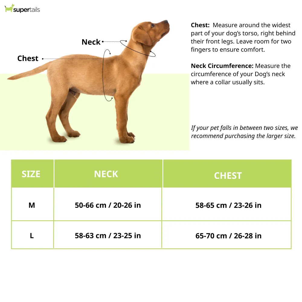 Hunter Hilo Comfort BVB Harness for Dogs (Yellow)