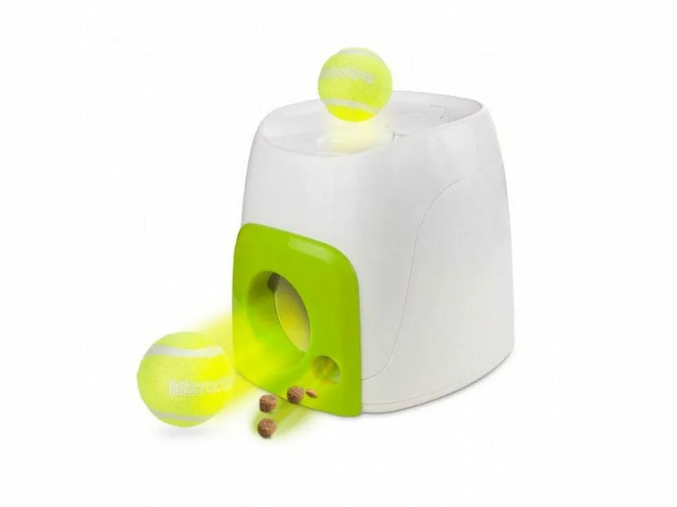 Interactive Dog Fetch`N Treat Pets Qatar