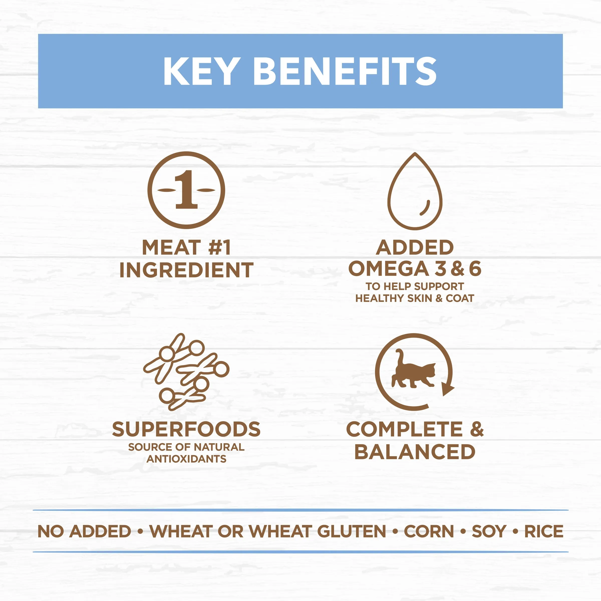 Ivory Coat Grain Free Chicken and Ocean Fish in Jelly Kitten Wet Food 85g x 12 ( _ )