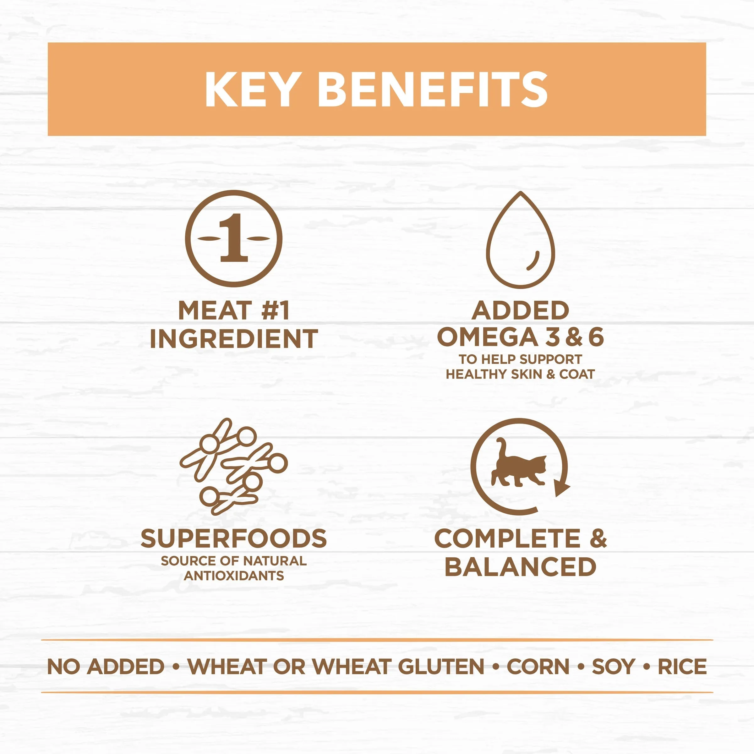 Ivory Coat Grain Free Chicken in Gravy Kitten Wet Food 85g x 12 ( _ )