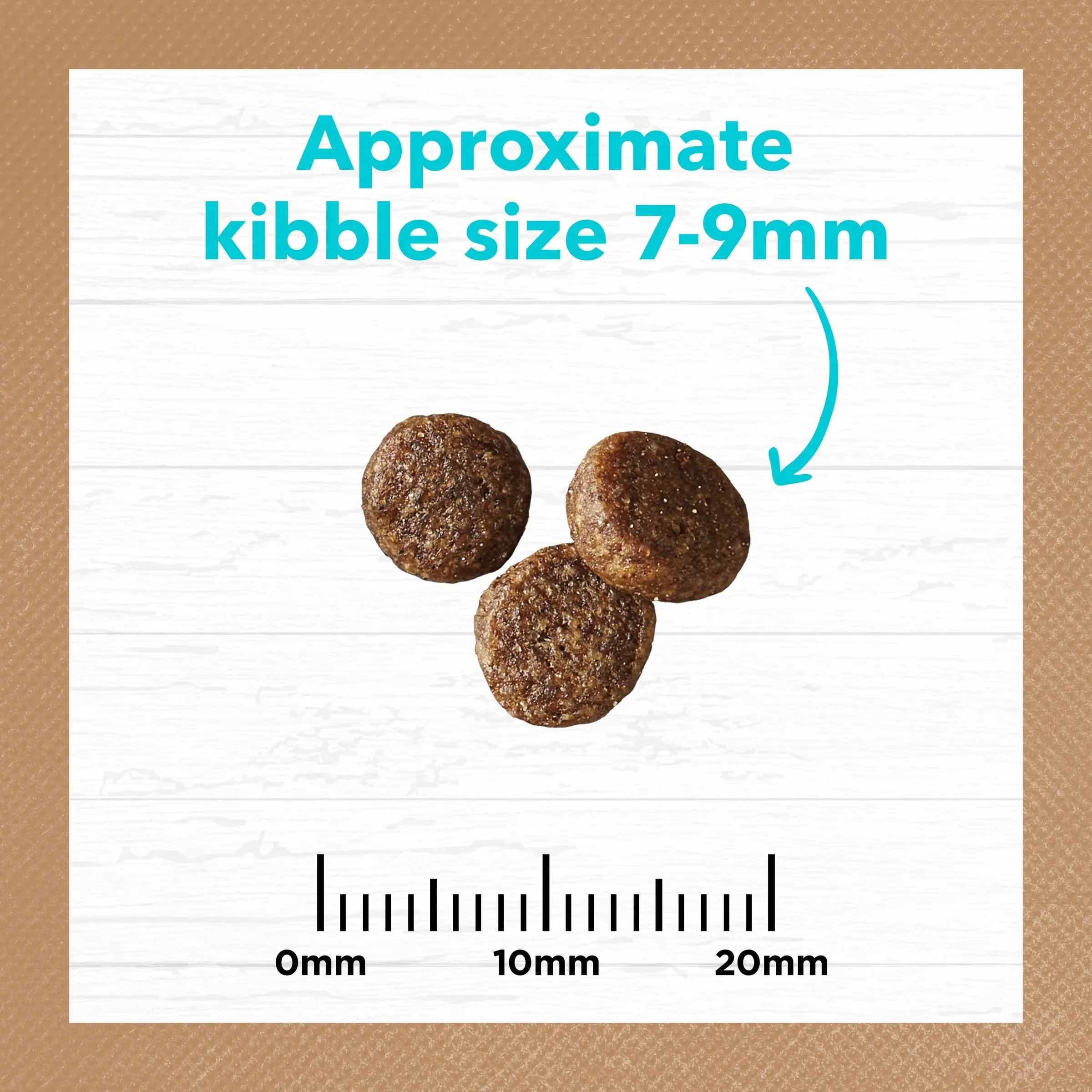 Ivory Coat Grain Free Ocean Fish Kitten Dry Food 2kg ( _ )
