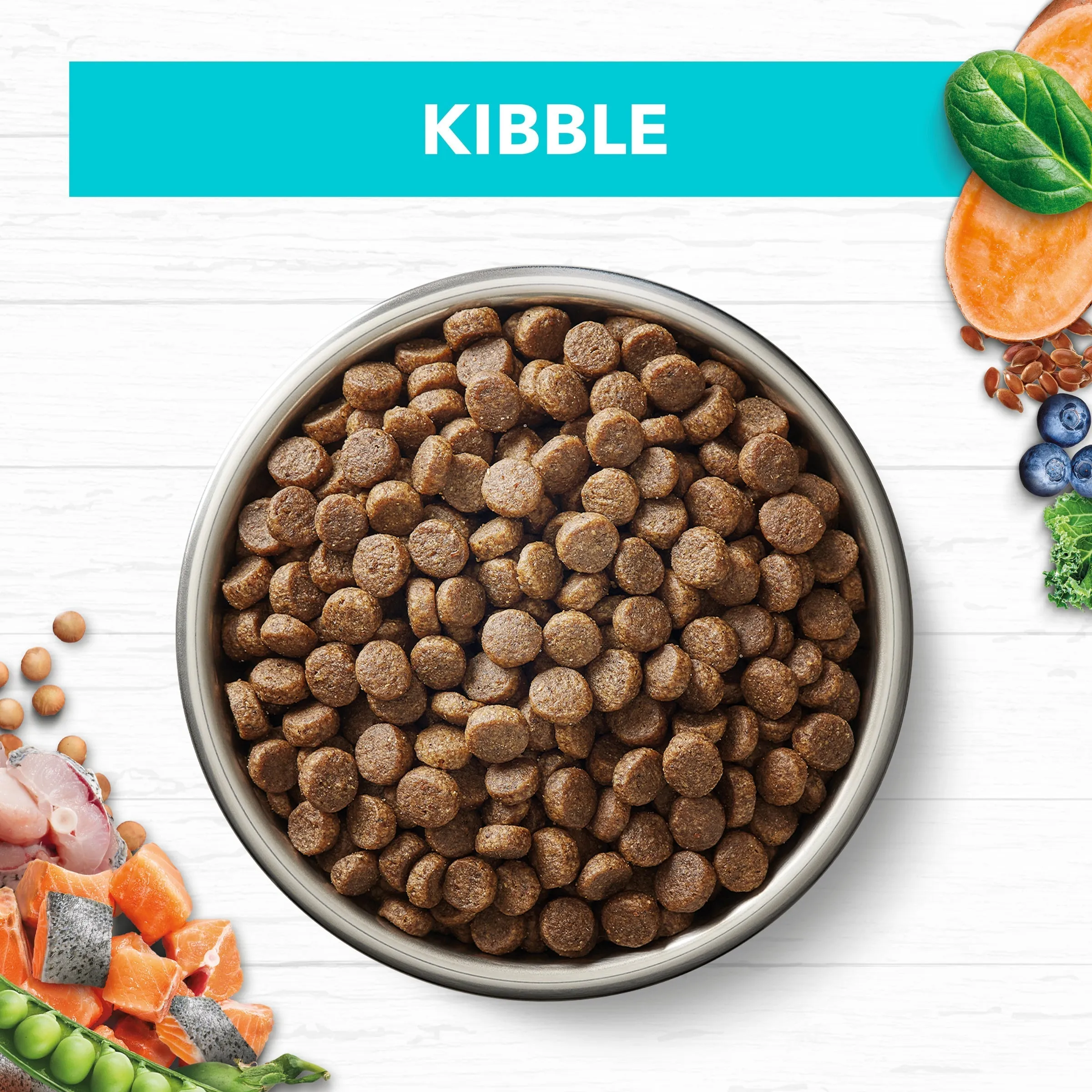 Ivory Coat Grain Free Ocean Fish Kitten Dry Food 2kg ( _ )