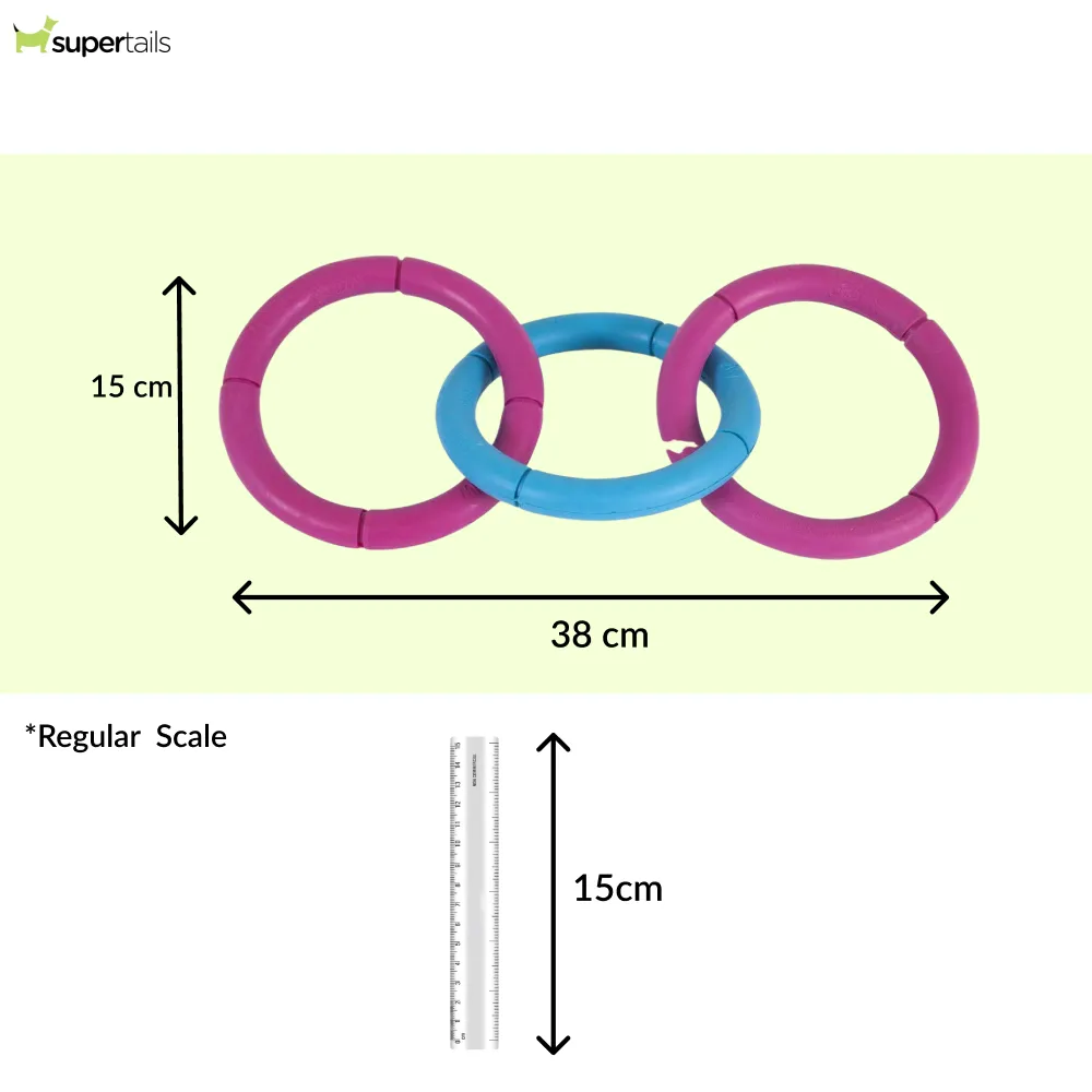 JW Invincible Chains Triple Toy for Dogs (Blue/Pink)