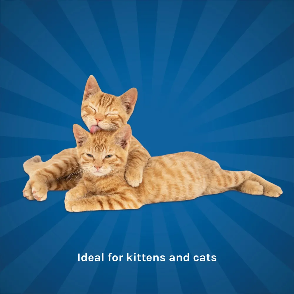 Kennel Kitchen Chicken with Tuna Shreds in Gravy Wet Food and Creameroo Crab with Mackerel Creamy Cat Treats Combo