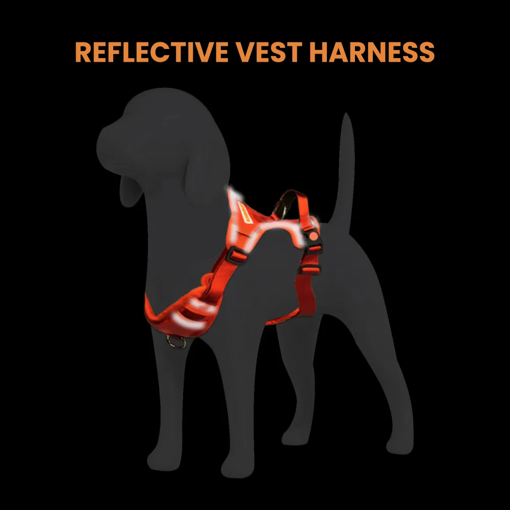 Kibbo Reflective Vest Harness with Dual Lock Buckle for Dogs (Orange)