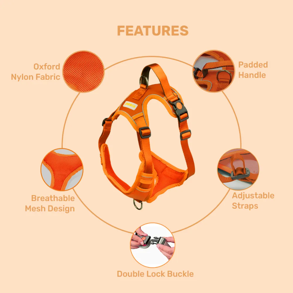 Kibbo Reflective Vest Harness with Dual Lock Buckle for Dogs (Orange)