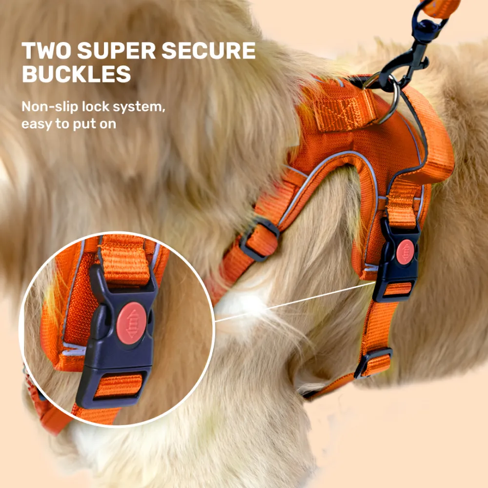 Kibbo Reflective Vest Harness with Dual Lock Buckle for Dogs (Orange)