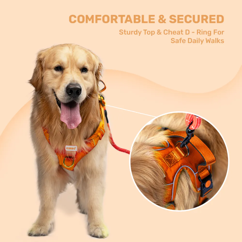 Kibbo Reflective Vest Harness with Dual Lock Buckle for Dogs (Orange)