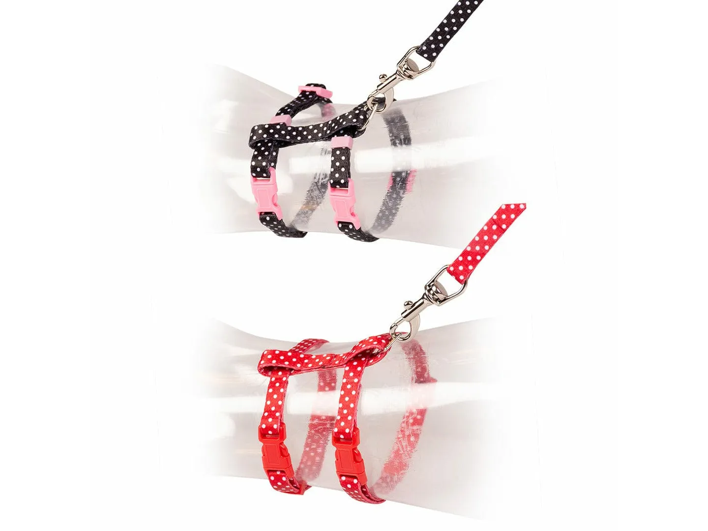 KITTEN WALKING SET WHITE DOTS 15-25cm / 8mm-125cm Pets Qatar