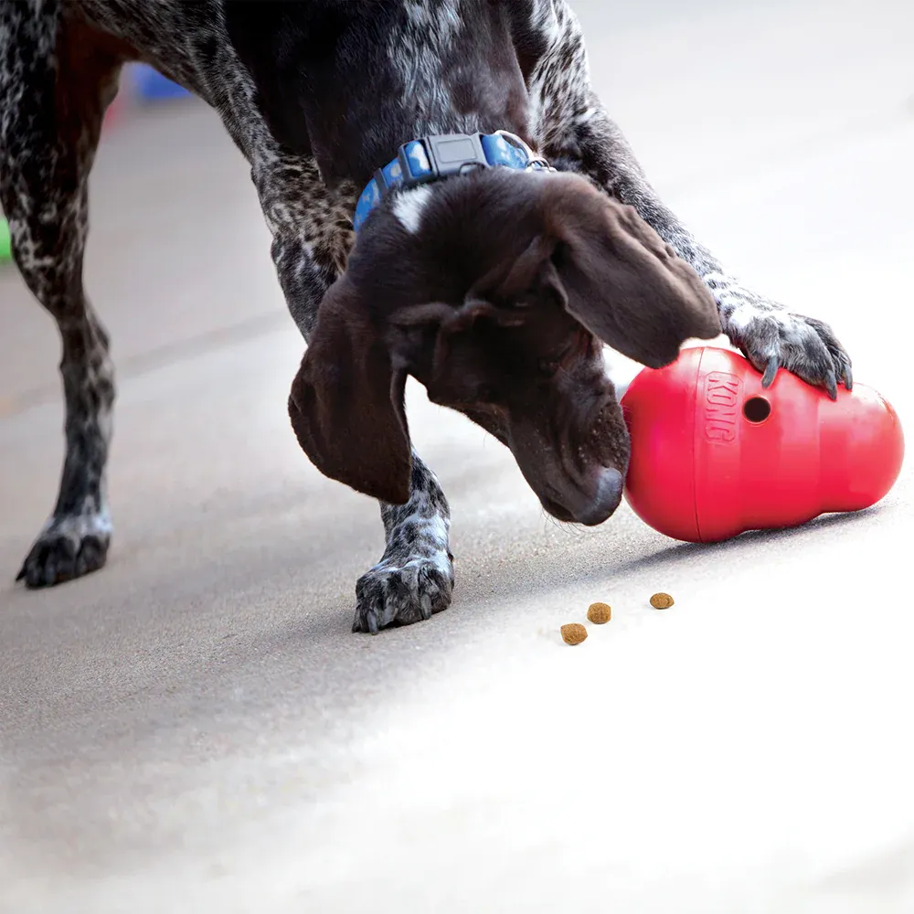 Kong Wobbler Toy for Dogs (Red) | For Aggressive Chewers
