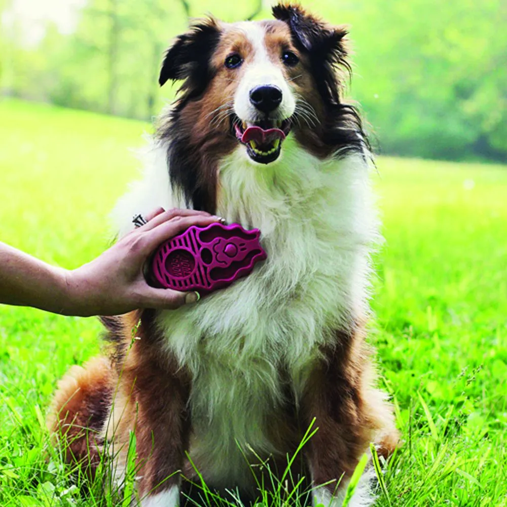 Kong Zoom Groom Raspberry Brush for Dogs