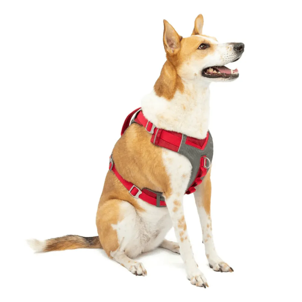 Kurgo Journey Air Harness for Dogs (Barn Red)