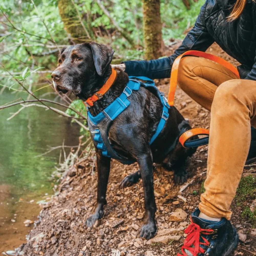 Kurgo Journey Air Harness for Dogs (Coastal Blue)