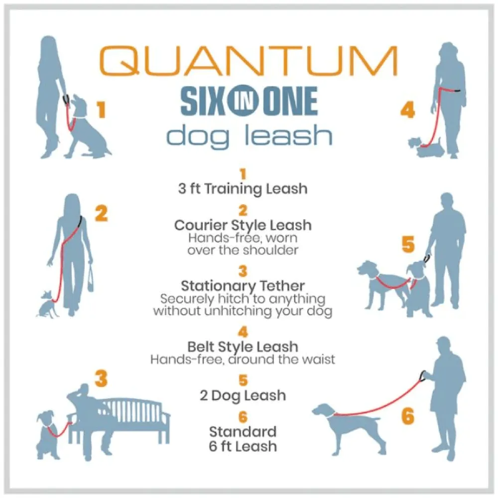 Kurgo Quantum 6 in 1 Dog Reflective Leash (Coastal Blue)