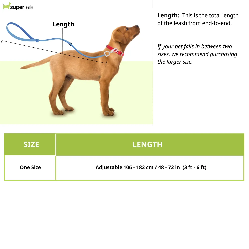Kurgo Quantum 6 in 1 Dog Reflective Leash (Coastal Blue)