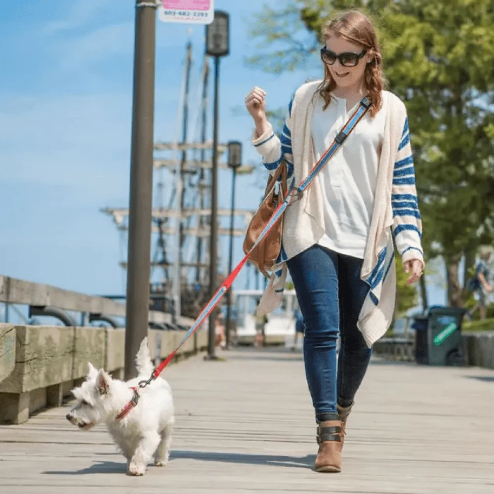 Kurgo Quantum 6 in 1 Dog Reflective Leash (Coastal Blue)