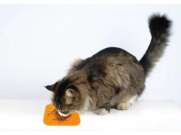 LECCA Mat Orange M Pets Qatar