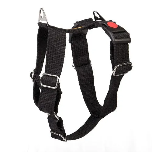 Let's Wag H Harness for Dogs (Black)