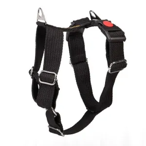 Let's Wag H Harness for Dogs (Black)