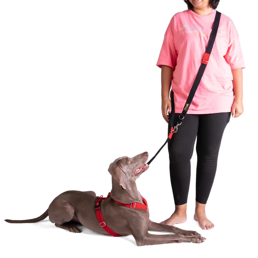 Let's Wag Multi Purpose Leash for Dogs (Black)